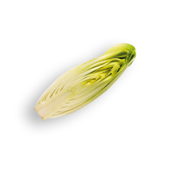 zutaten_chikoree_0