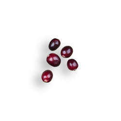 zutaten_cranberries_0