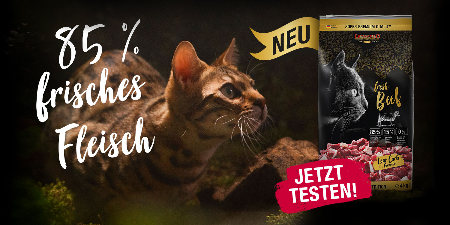 leonardo-catfood-fresh-header