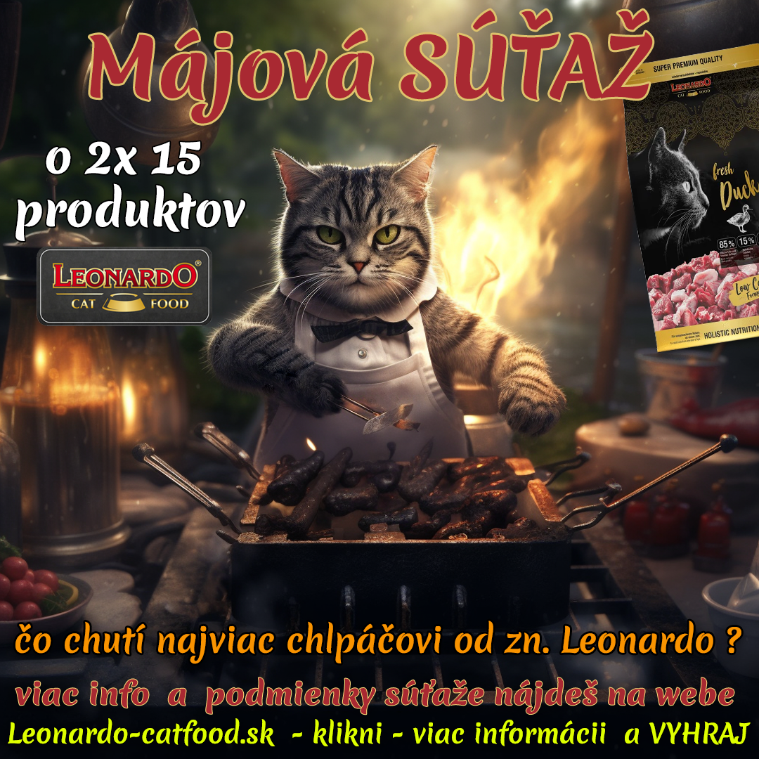 SutazMAJ_Leonardo